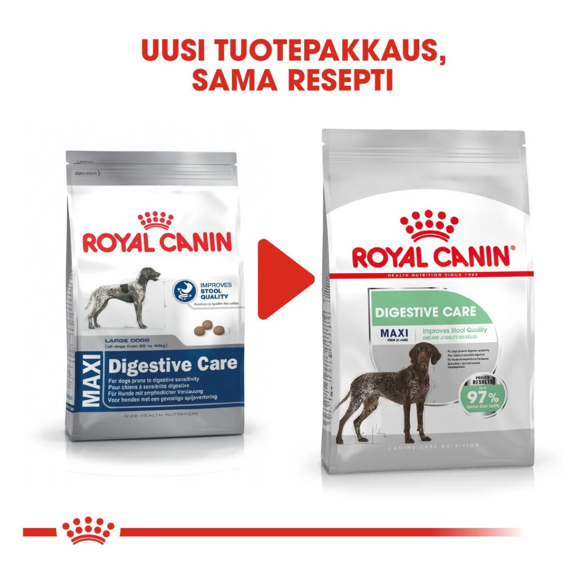Maxi Digestive Care>Royal Canin Sale