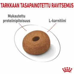 Maxi Light Weight Care>Royal Canin Hot