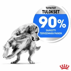 Maxi Light Weight Care>Royal Canin Hot