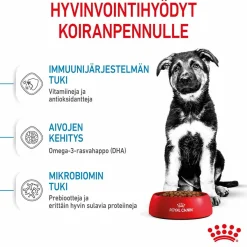 Maxi Puppy>Royal Canin Online