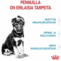 Maxi Puppy>Royal Canin Online