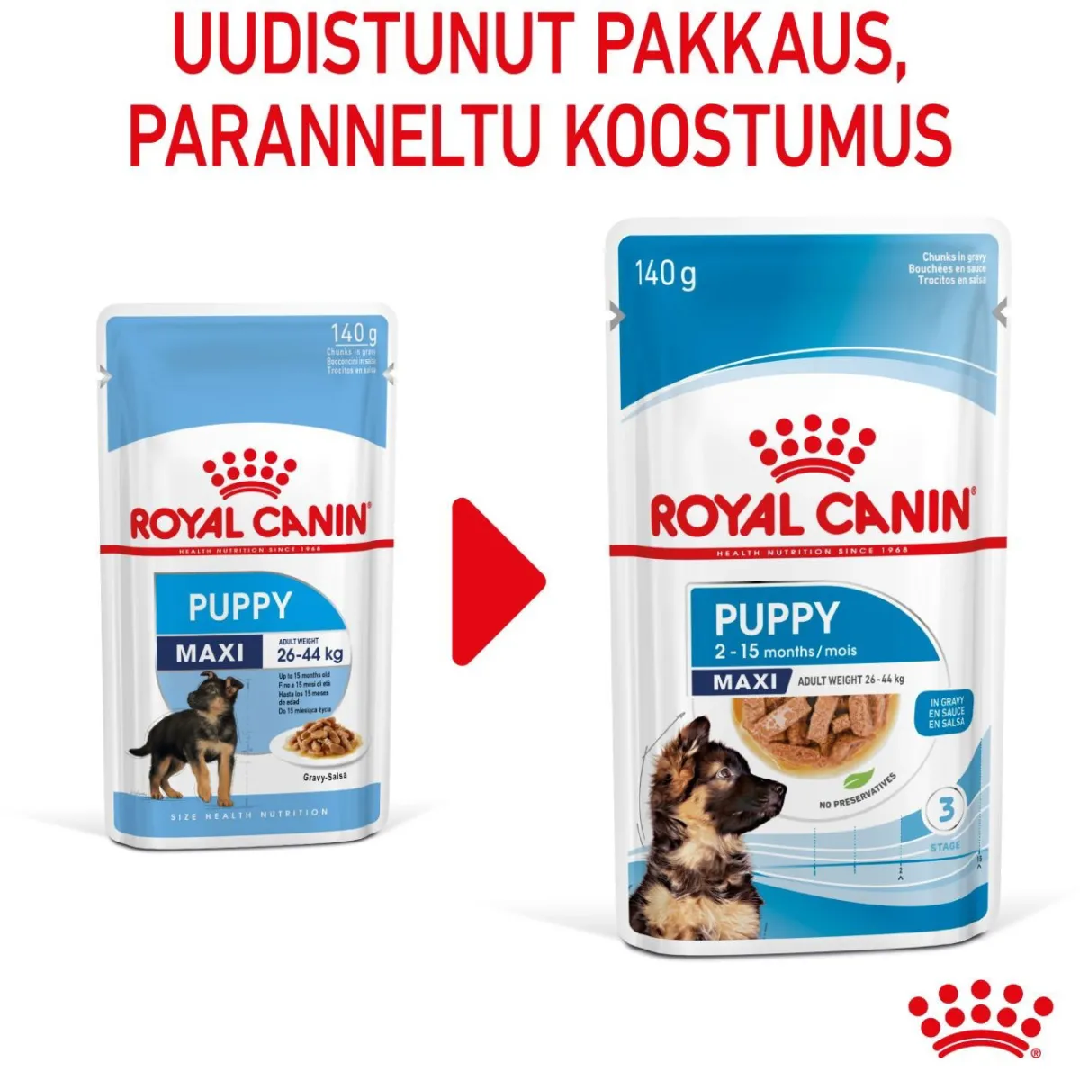 Maxi Puppy Wet 10x140g>Royal Canin