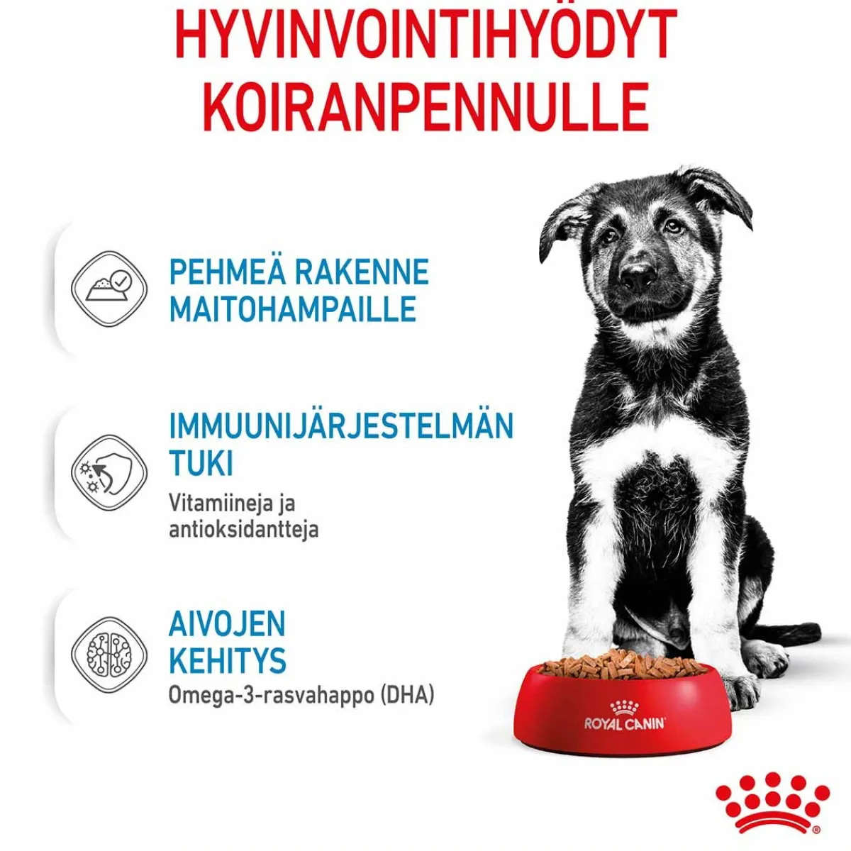 Maxi Puppy Wet 10x140g>Royal Canin