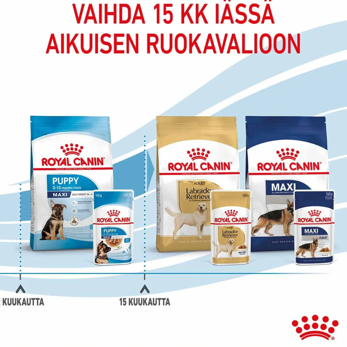 Maxi Puppy Wet 10x140g>Royal Canin