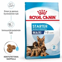 Maxi Starter>Royal Canin