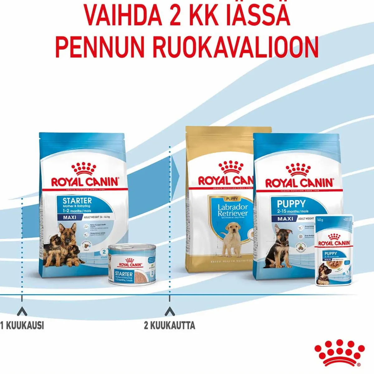 Maxi Starter>Royal Canin