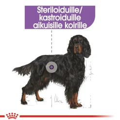 Maxi Sterilised, 12 kg>Royal Canin
