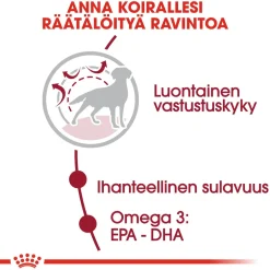 Medium Adult>Royal Canin Discount