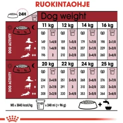 Medium Adult>Royal Canin Discount