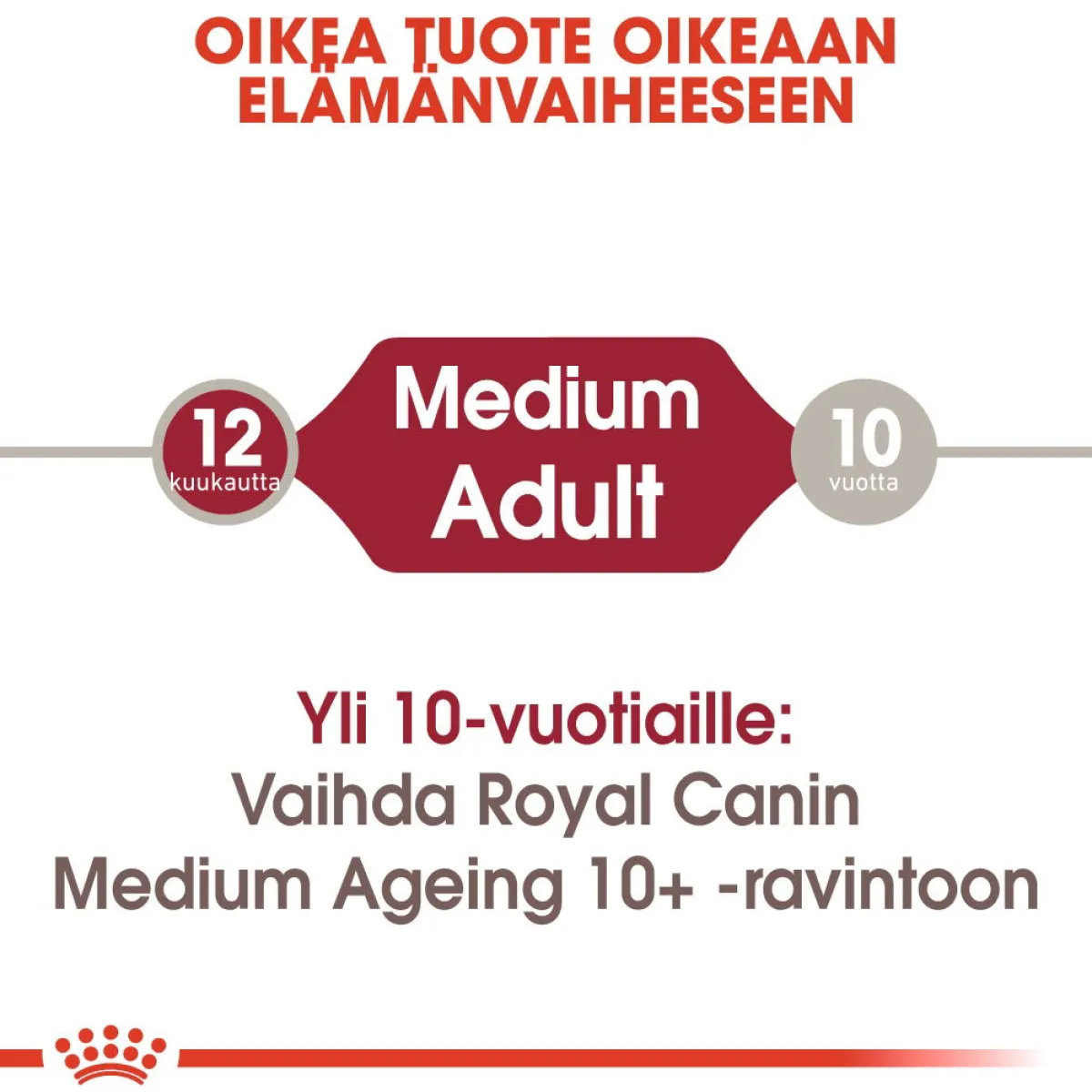 Medium Adult Wet 10x140g>Royal Canin Sale