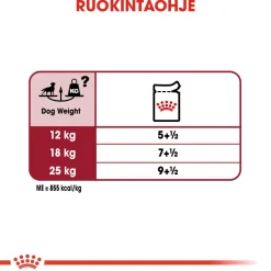 Medium Adult Wet 10x140g>Royal Canin Sale