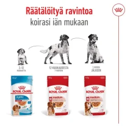 Medium Adult 40 x 140 g>Royal Canin Sale