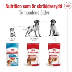 Medium Adult 40 x 140 g>Royal Canin Sale