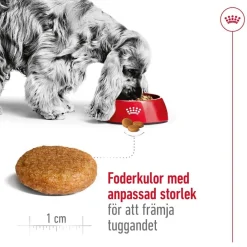 Medium Adult 2 x 15 kg>Royal Canin Outlet