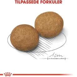 Medium Adult 2 x 15 kg>Royal Canin Outlet