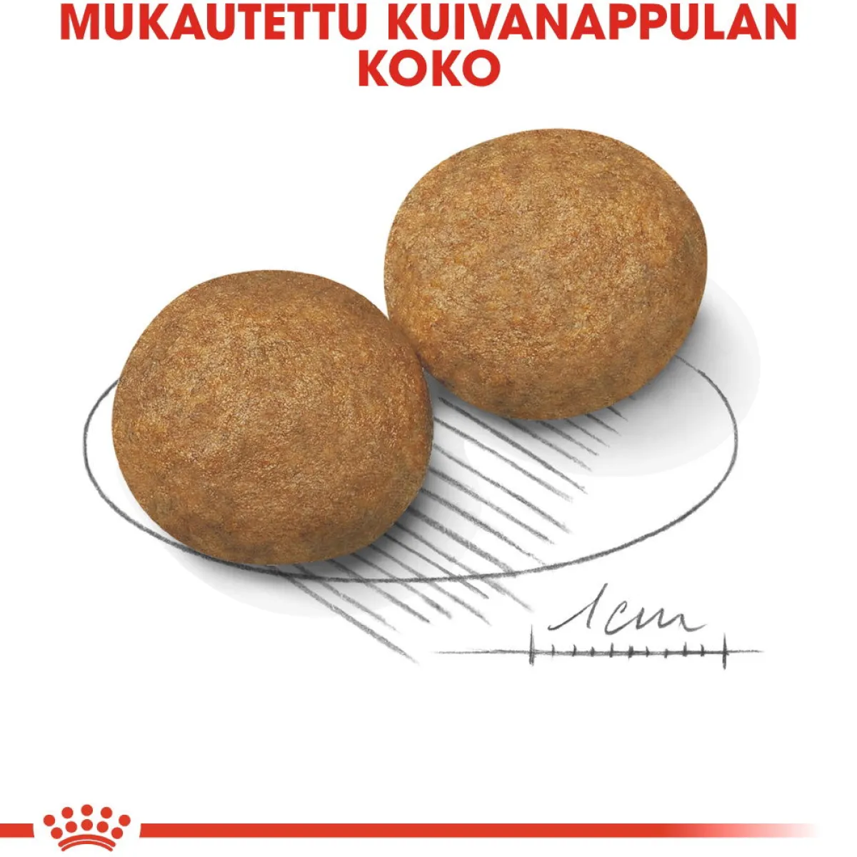 Medium Adult 2 x 15 kg>Royal Canin Outlet
