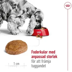 Medium Adult 7+ 2 x 15kg>Royal Canin Clearance
