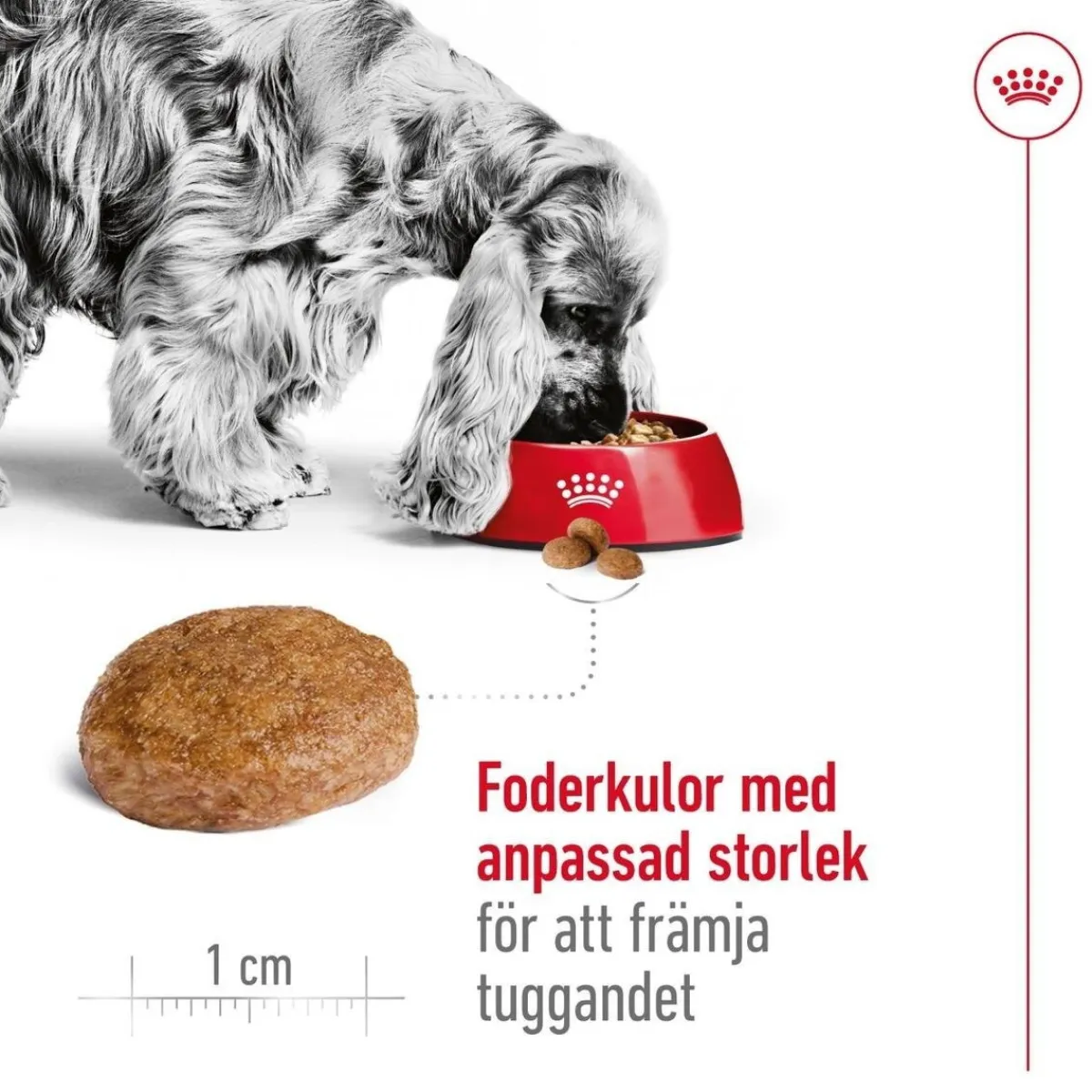 Medium Adult 7+ 2 x 15kg>Royal Canin Clearance