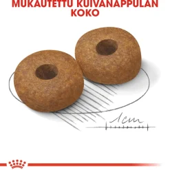 Medium Ageing 10+, 15 kg>Royal Canin Outlet