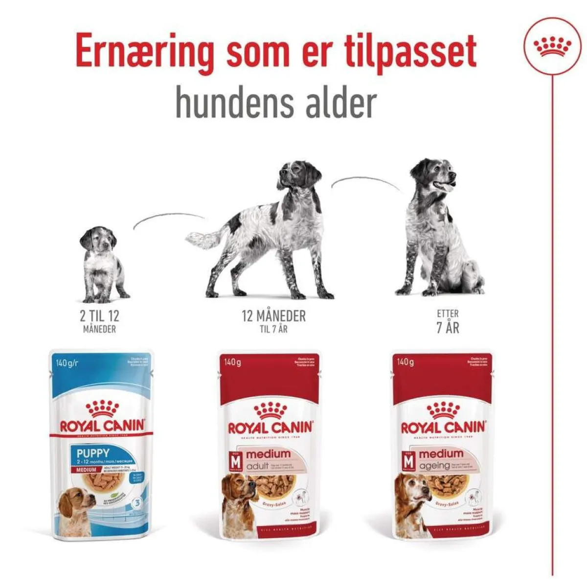 Medium Ageing Wet 10 x 140 g>Royal Canin Discount