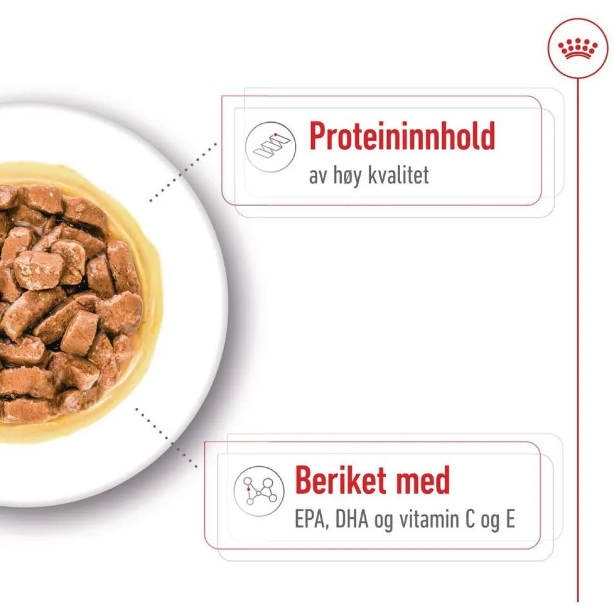 Medium Ageing Wet 10 x 140 g>Royal Canin Discount