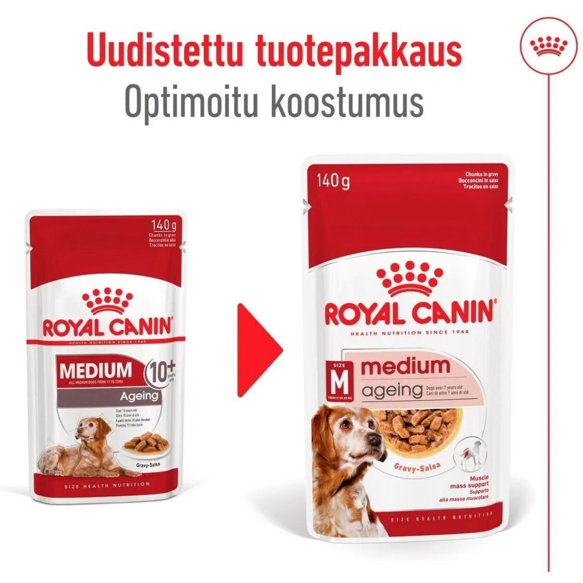 Medium Ageing Wet 10 x 140 g>Royal Canin Discount
