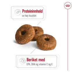 Medium Ageing 10+ 2 x 15kg>Royal Canin Best
