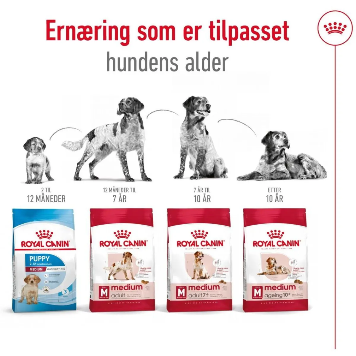 Medium Ageing 10+ 2 x 15kg>Royal Canin Best