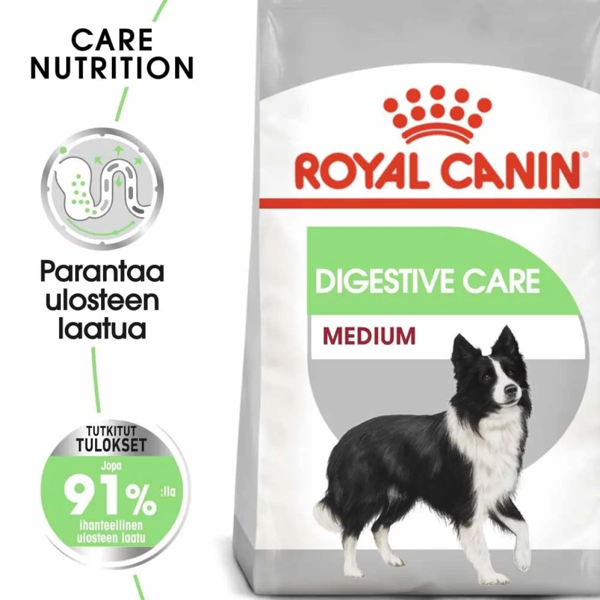 Medium Digestive Care>Royal Canin Online