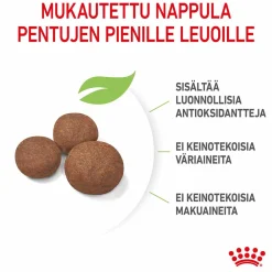 Medium Puppy>Royal Canin