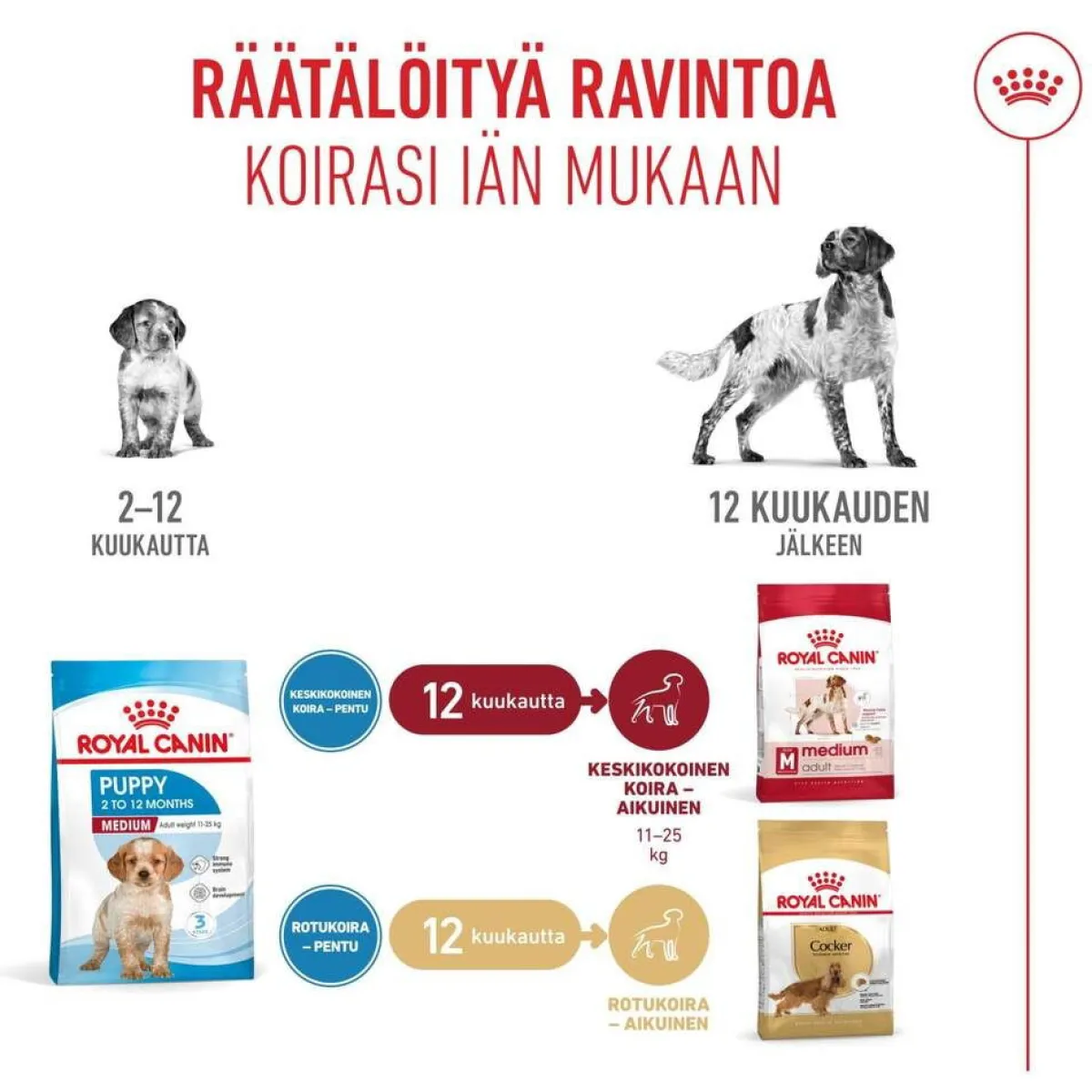 Medium Puppy>Royal Canin