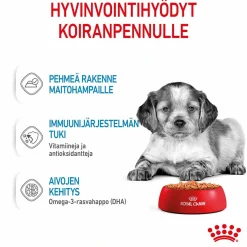 Medium Puppy Wet 10x140g>Royal Canin Outlet
