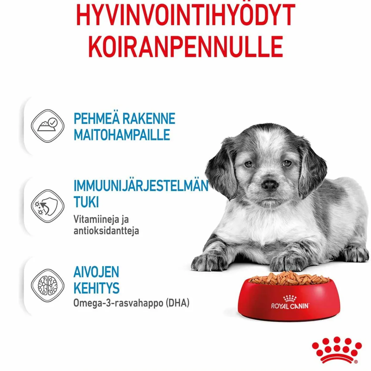 Medium Puppy Wet 10x140g>Royal Canin Outlet