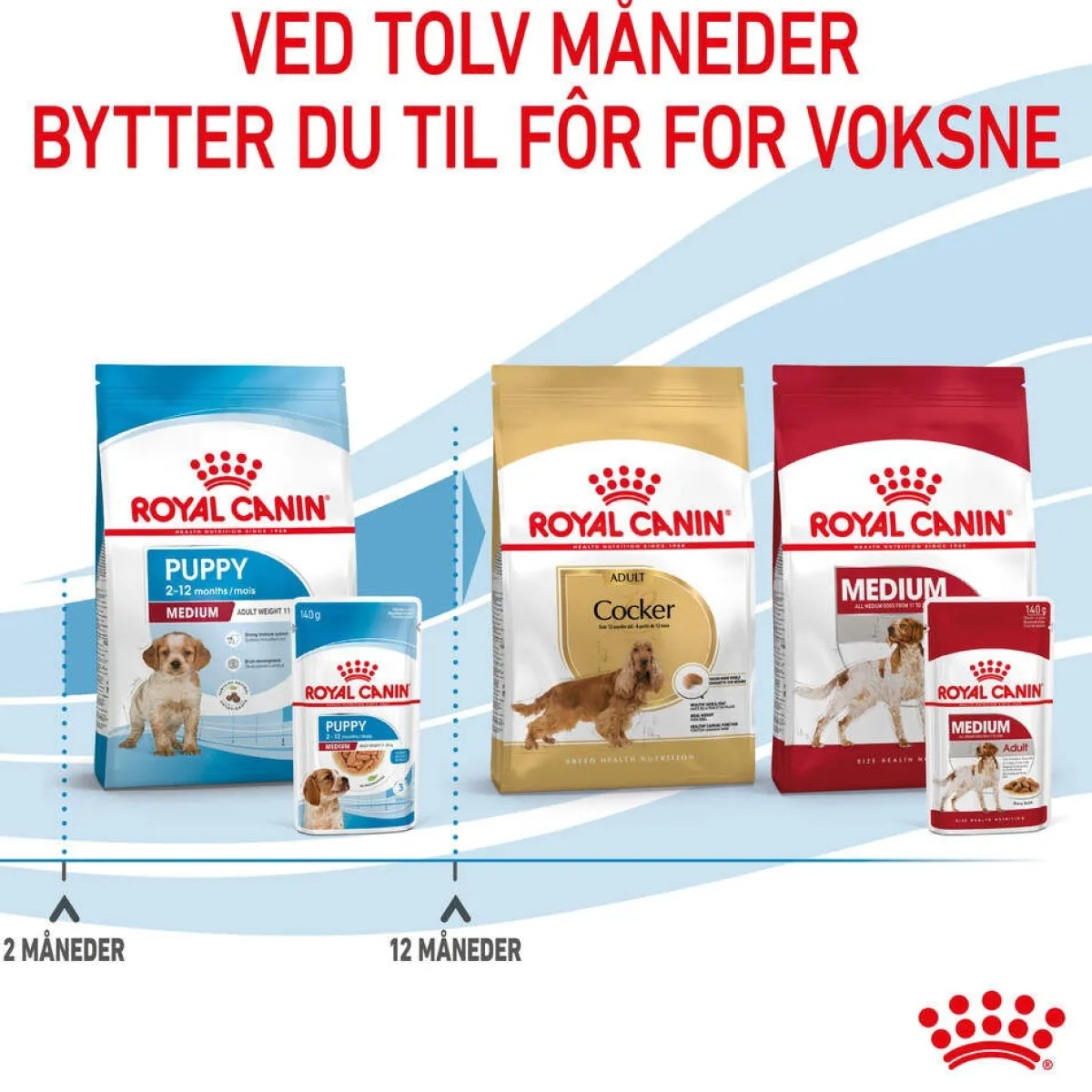 Medium Puppy 40x140 g>Royal Canin Sale