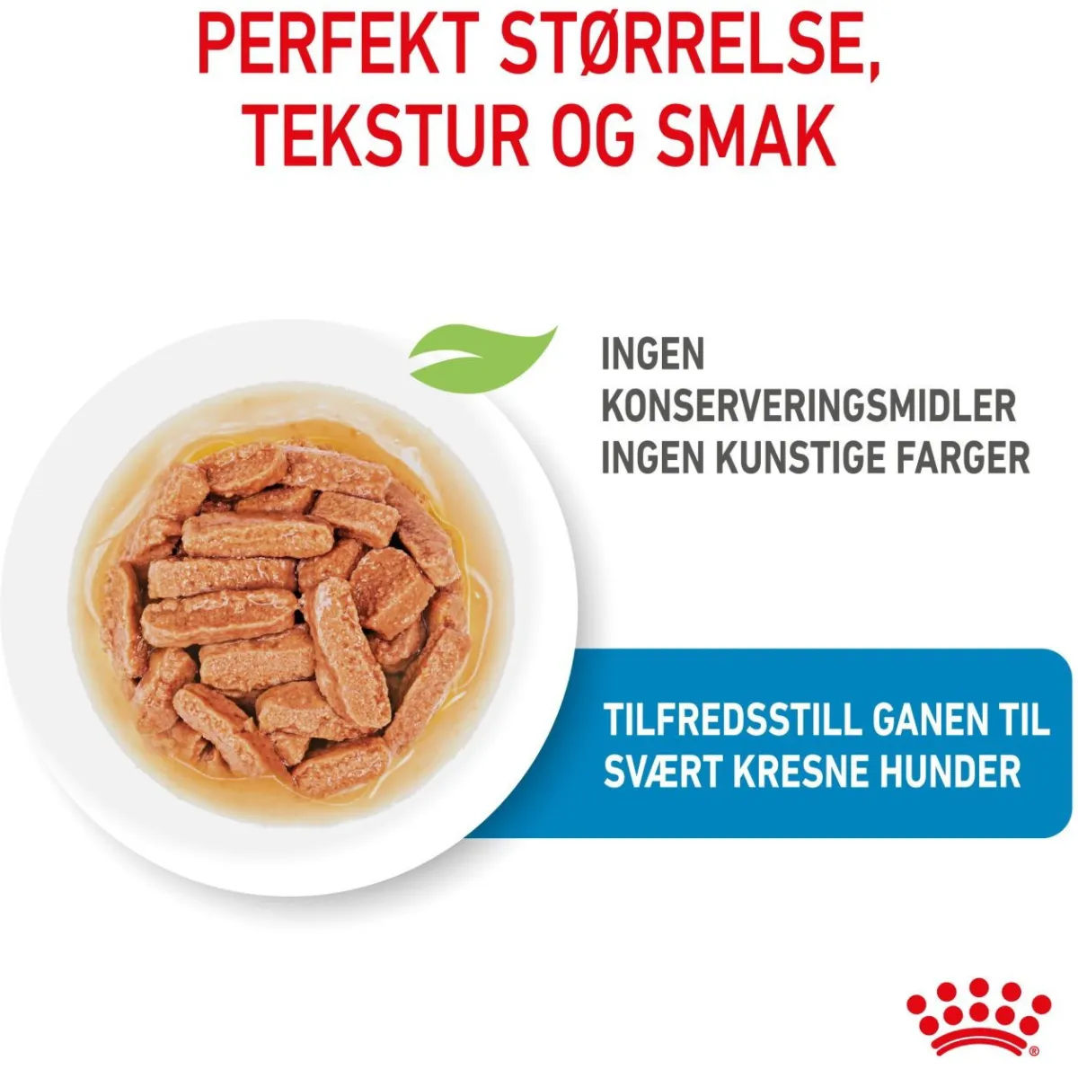 Medium Puppy 40x140 g>Royal Canin Sale