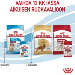 Medium Puppy 40x140 g>Royal Canin Sale