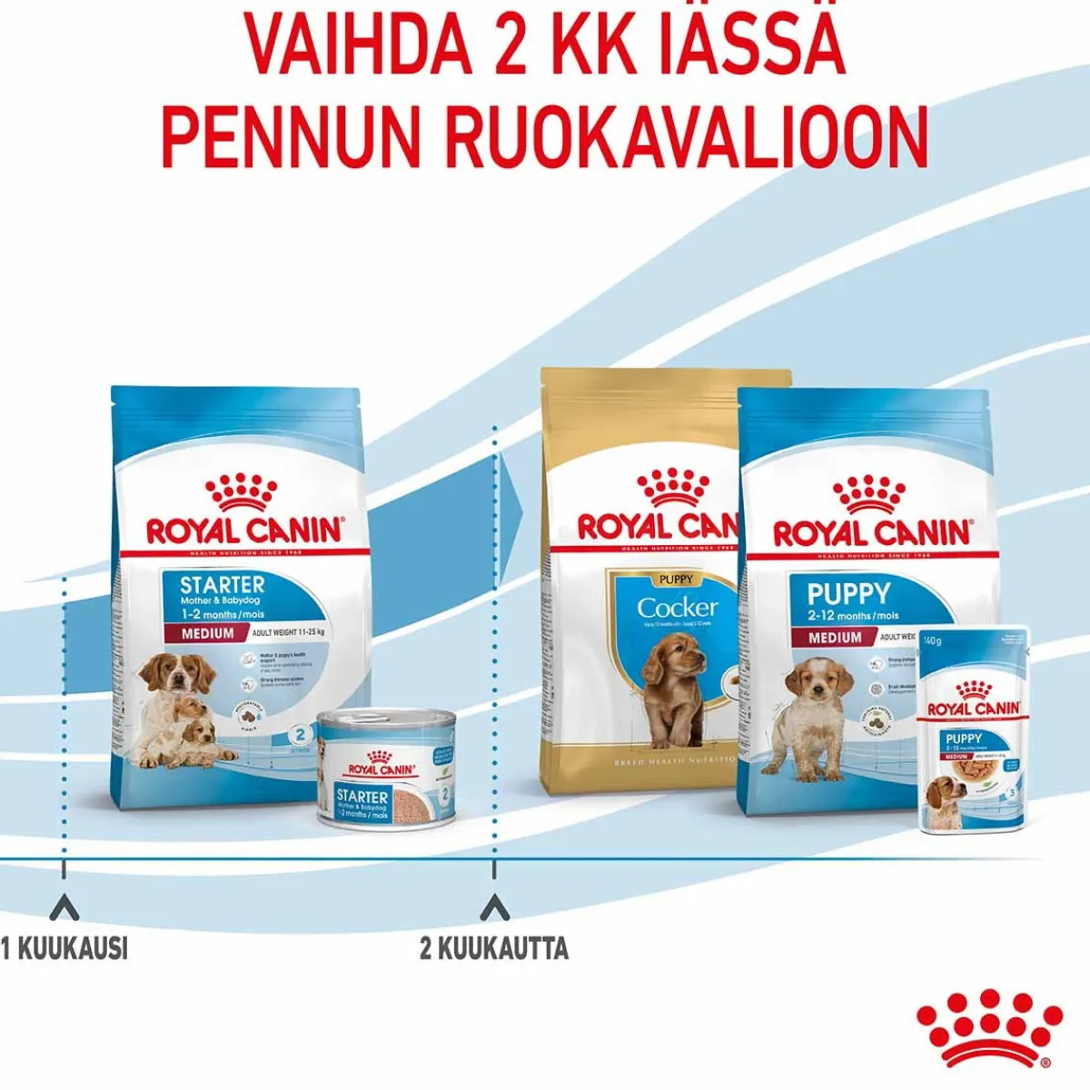 Medium Starter>Royal Canin Online
