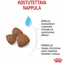 Medium Starter>Royal Canin Online