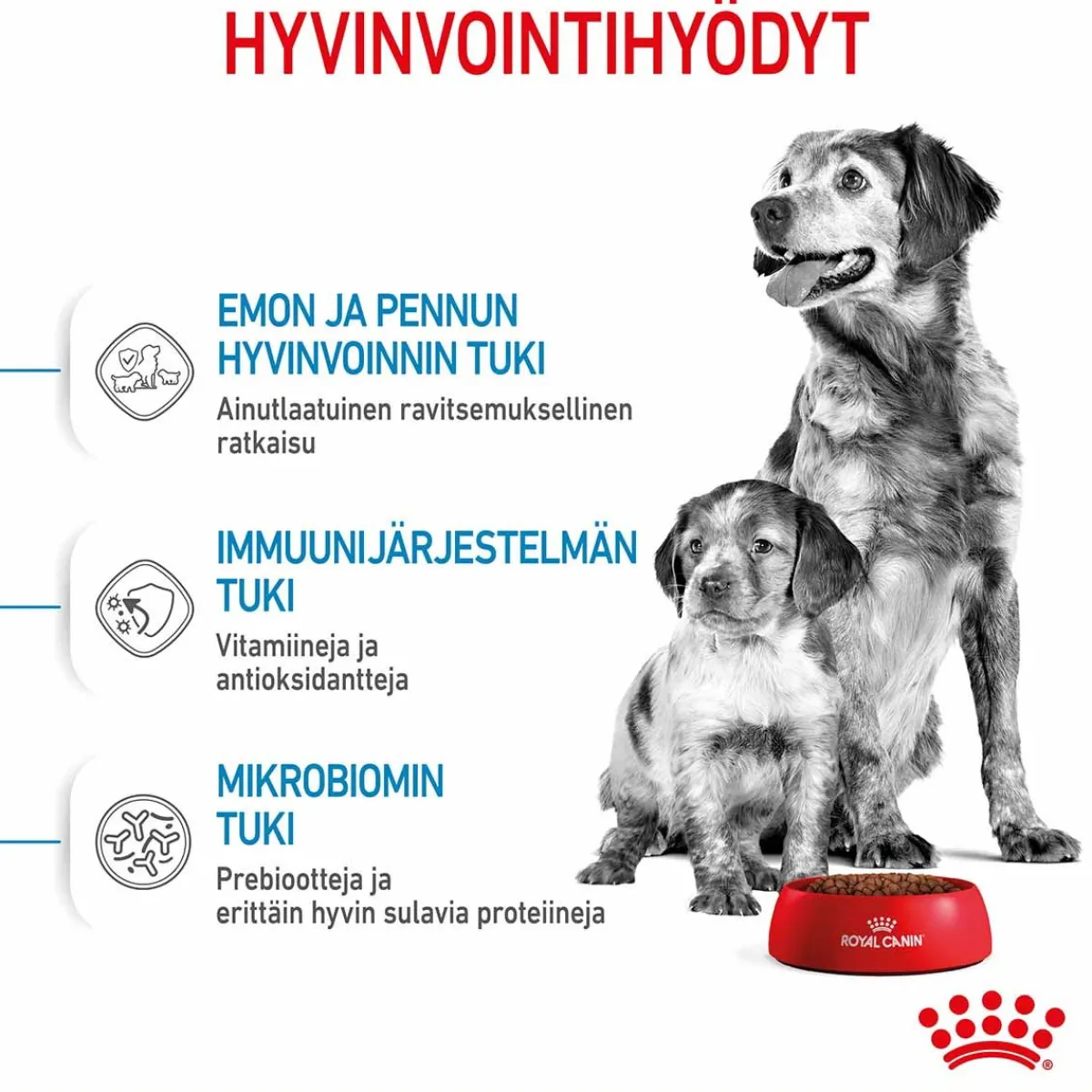 Medium Starter>Royal Canin Online