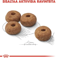 Medium Sterilised>Royal Canin Best
