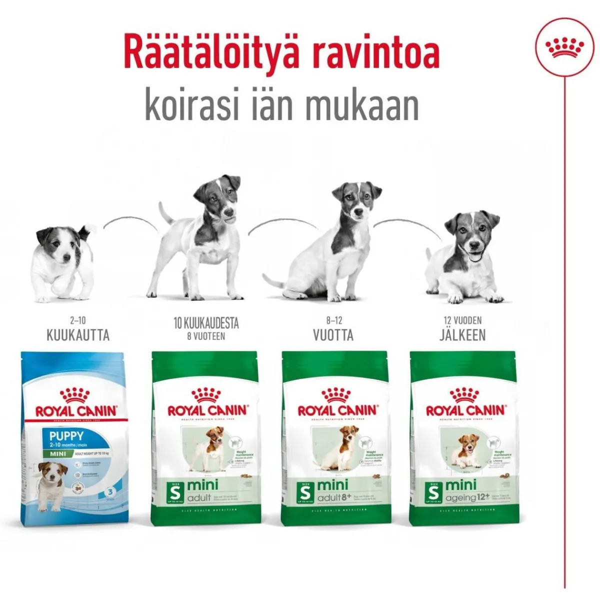 Mini Adult 8+>Royal Canin Discount