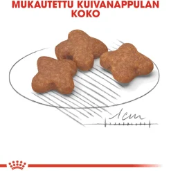 Mini Adult 8+>Royal Canin Discount