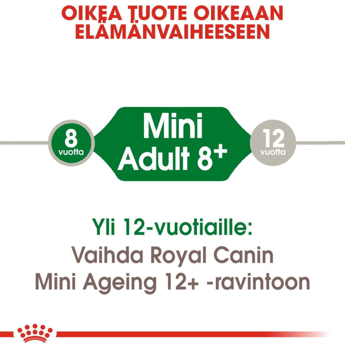 Mini Adult 8+>Royal Canin Discount