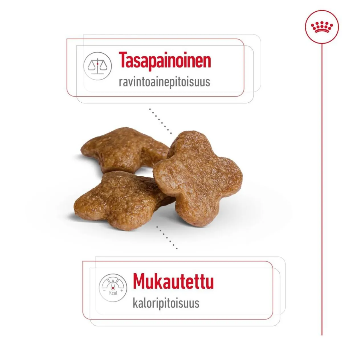 Mini Adult 8+>Royal Canin Discount