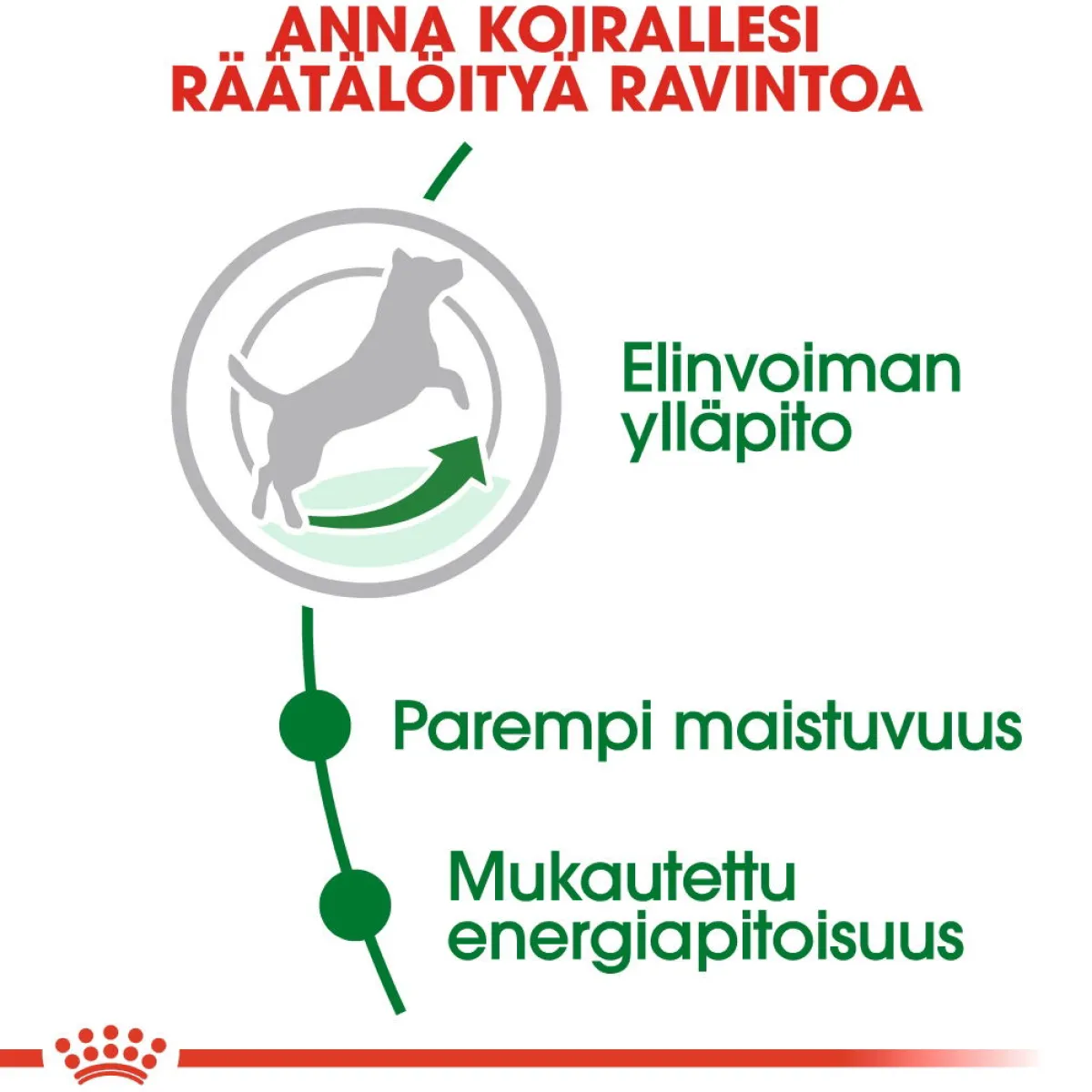 Mini Adult 8+>Royal Canin Discount