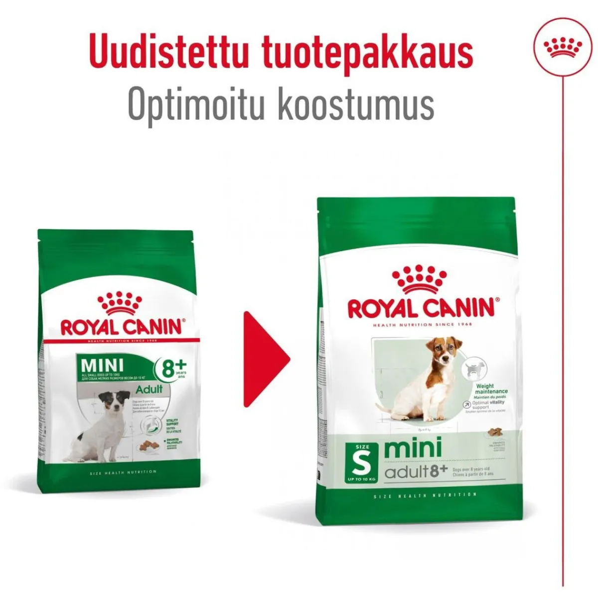 Mini Adult 8+>Royal Canin Discount