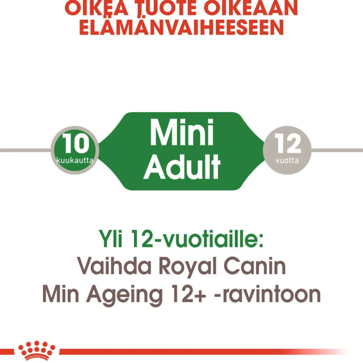 Mini Adult Wet 12 x 85 g>Royal Canin Online