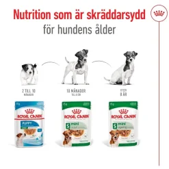 Mini Adult 48 x 85 g>Royal Canin