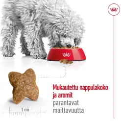Mini Adult 2 x 8 kg>Royal Canin Online