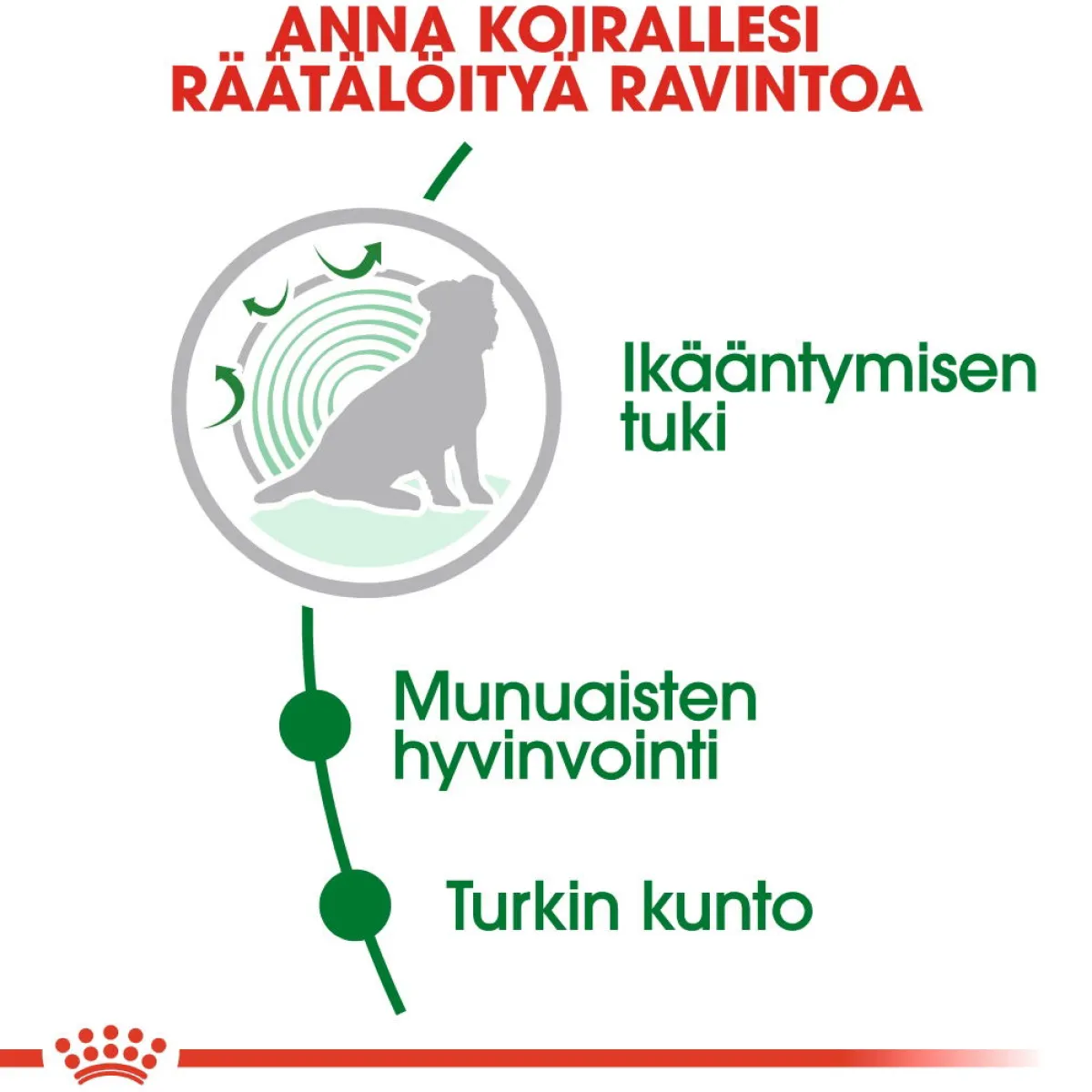 Mini Ageing 12+ 1,5 kg>Royal Canin
